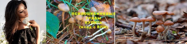 ALPHA-PVP Верхний Тагил