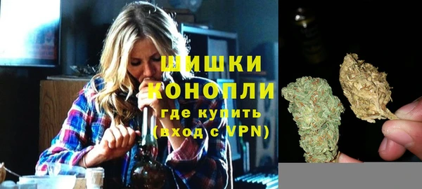 первитин Богородицк