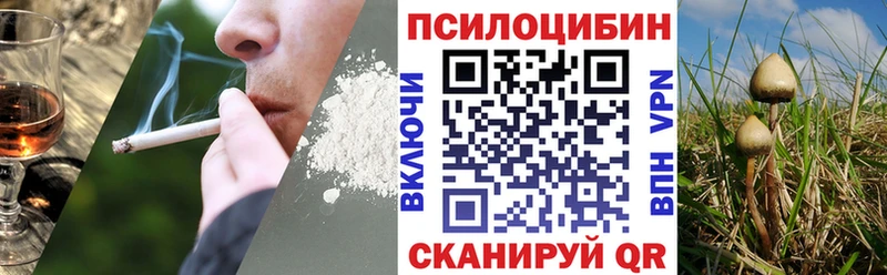 Галлюциногенные грибы Psilocybine cubensis цена Сретенск